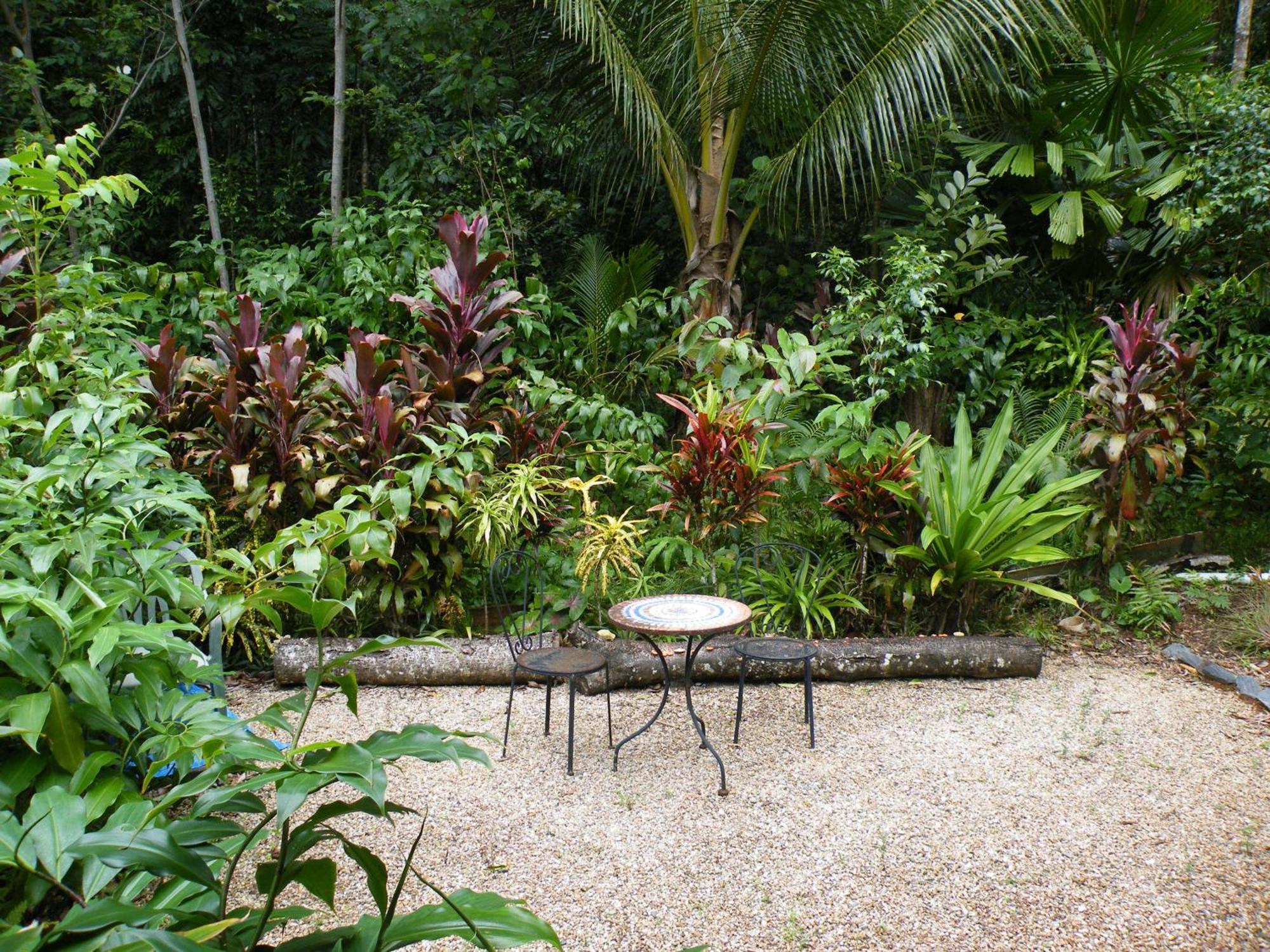 Epiphyte B & B Cow Bay Bagian luar foto