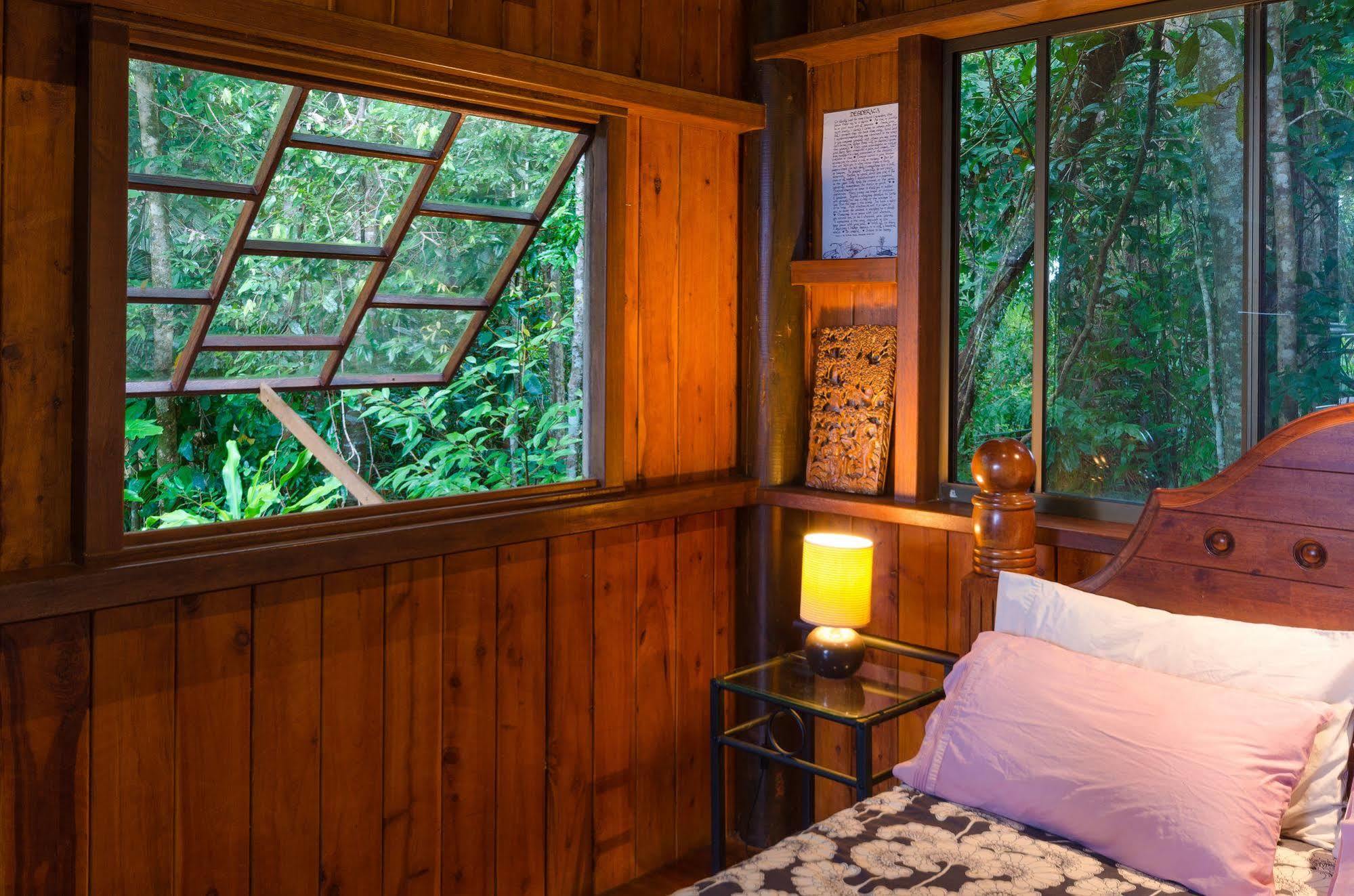 Epiphyte B & B Cow Bay Bagian luar foto