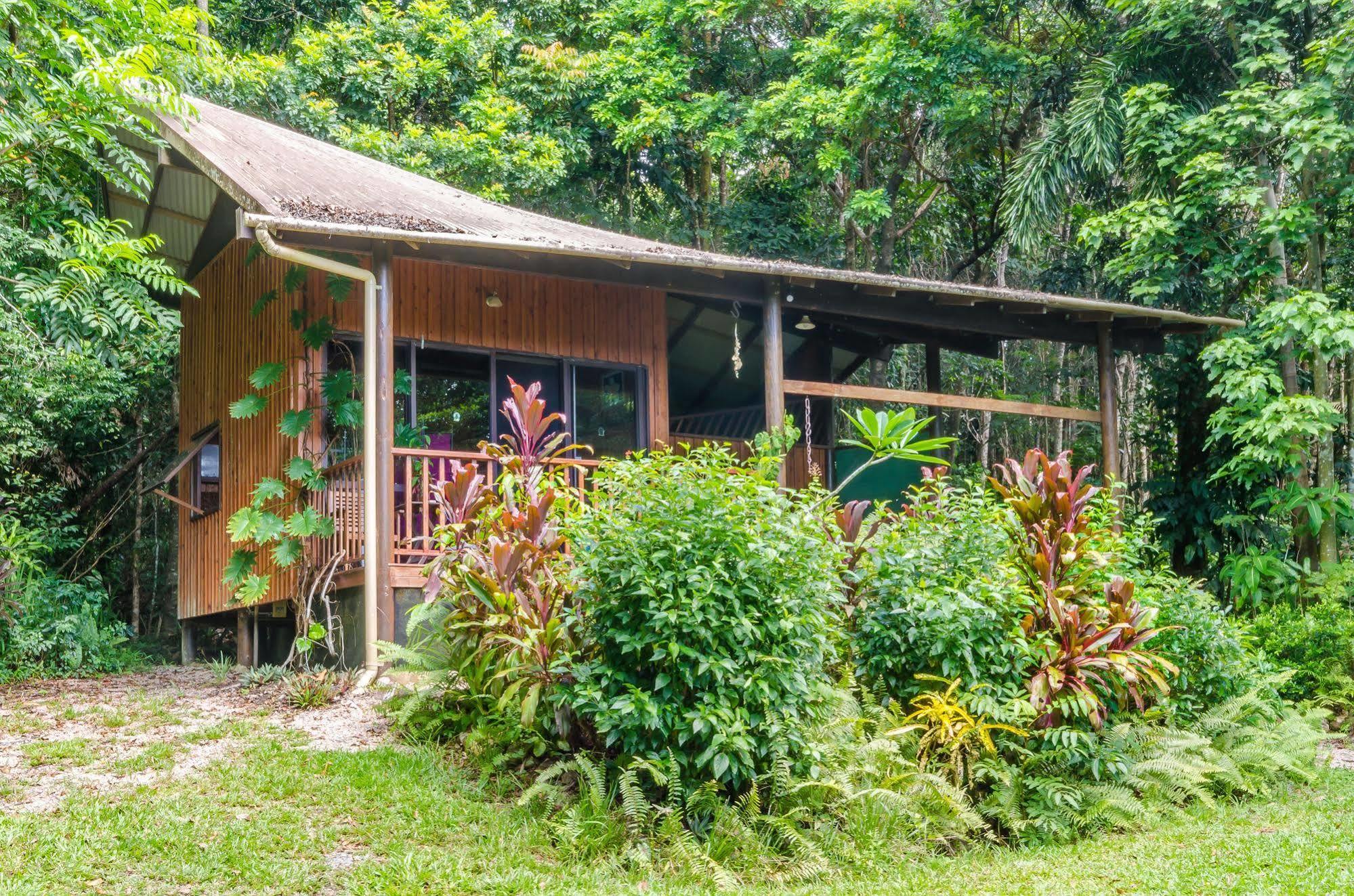 Epiphyte B & B Cow Bay Bagian luar foto