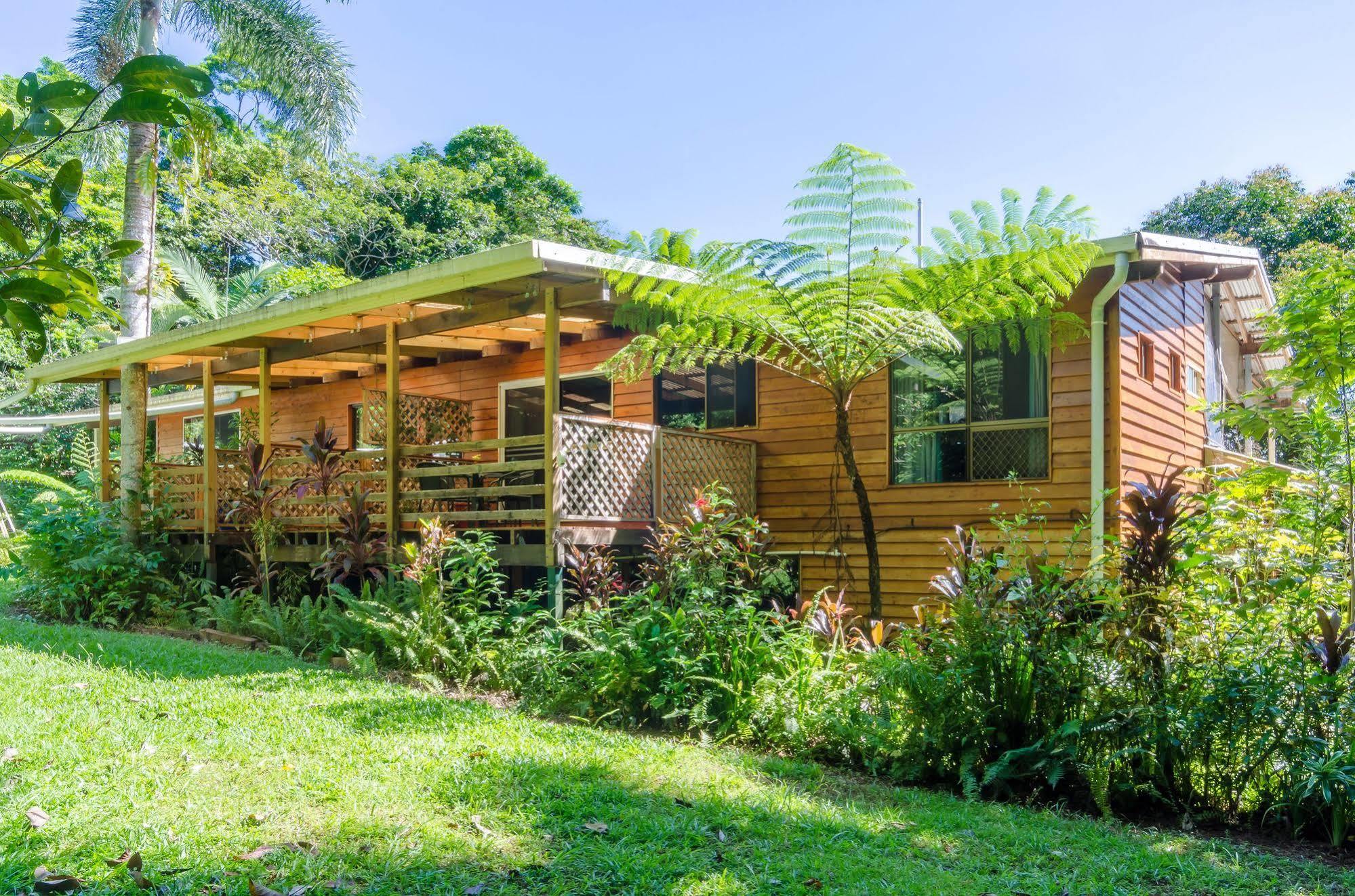 Epiphyte B & B Cow Bay Bagian luar foto